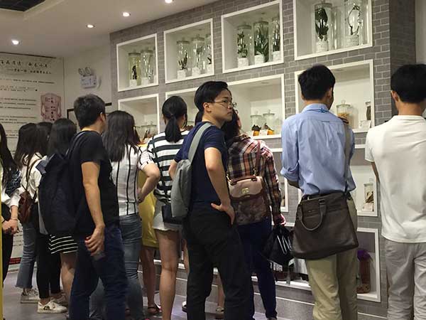 参观“滋补药材展区”