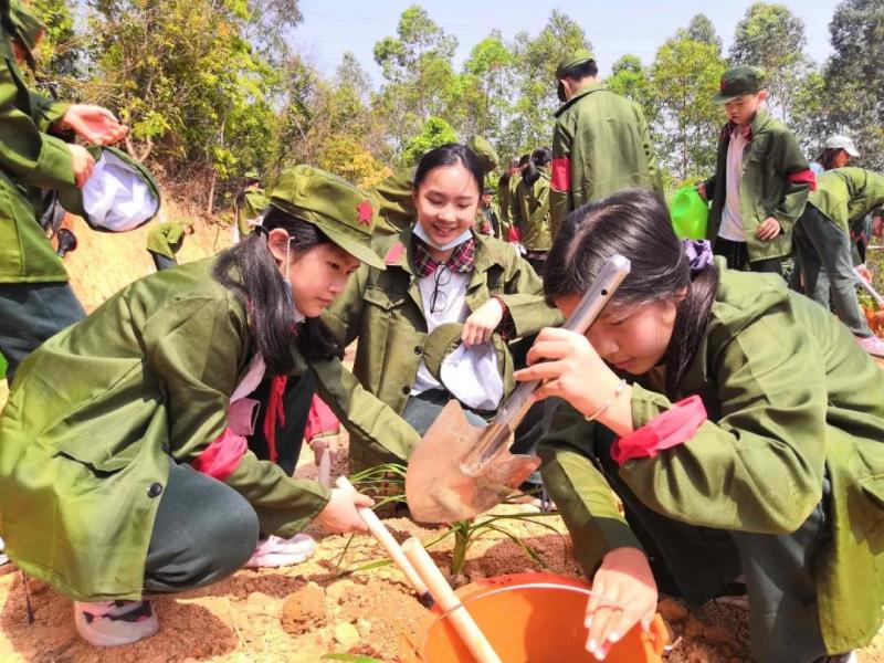 劳动实践：种植萱草